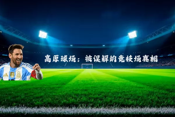 高原球场:被误解的竞技场真相